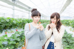 食べ放題ツアー
