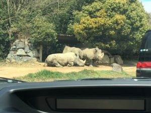 糖質制限おやつ