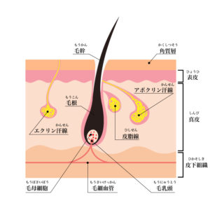 脱毛サロン 格安 ランキング